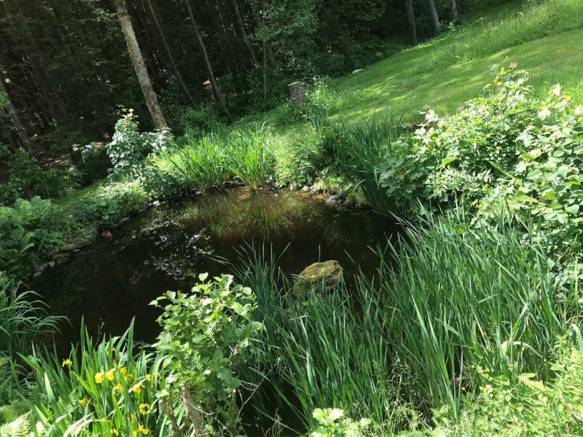 Ferienwohnung Hubertus Bischofsmais Esterno foto